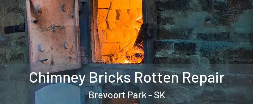  Chimney Bricks Rotten Repair Brevoort Park - SK