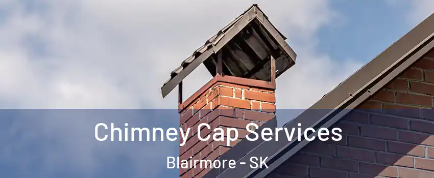  Chimney Cap Services Blairmore - SK