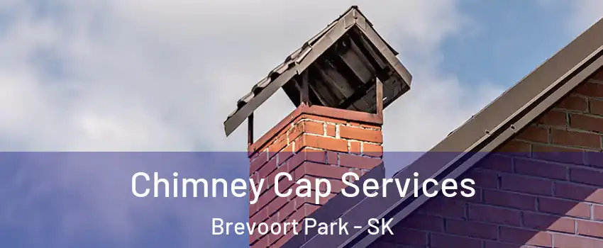  Chimney Cap Services Brevoort Park - SK