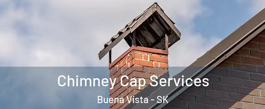  Chimney Cap Services Buena Vista - SK
