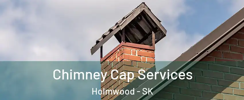  Chimney Cap Services Holmwood - SK