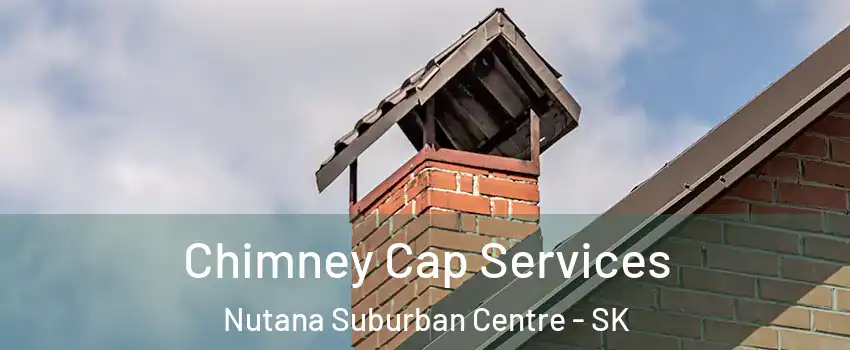 Chimney Cap Services Nutana Suburban Centre - SK