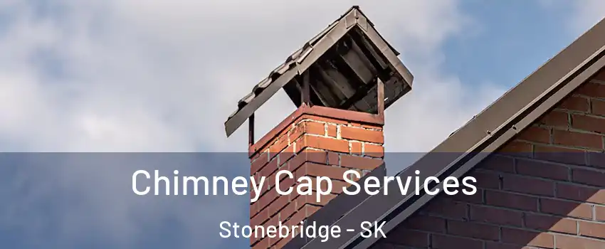  Chimney Cap Services Stonebridge - SK