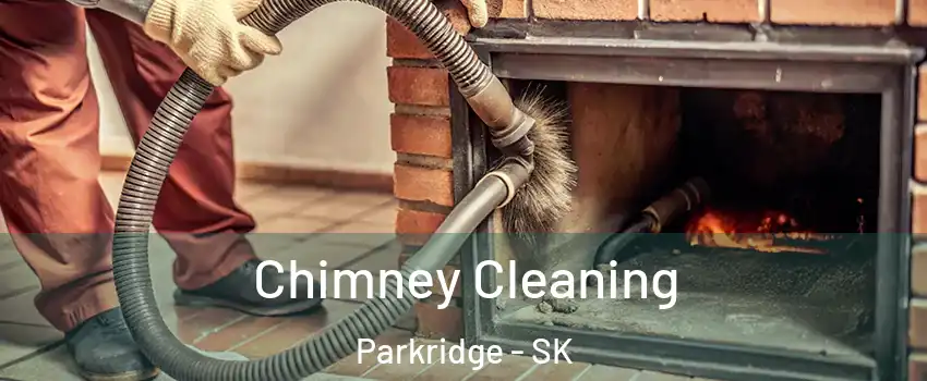  Chimney Cleaning Parkridge - SK
