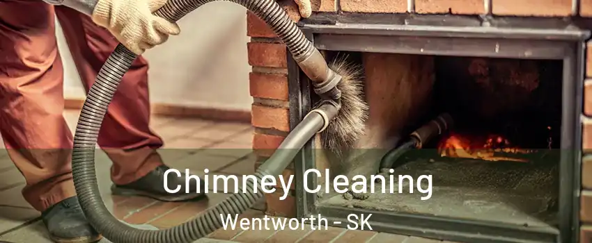  Chimney Cleaning Wentworth - SK
