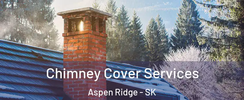  Chimney Cover Services Aspen Ridge - SK