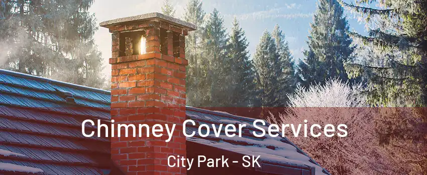  Chimney Cover Services City Park - SK