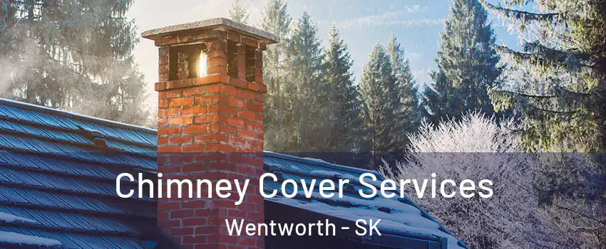  Chimney Cover Services Wentworth - SK