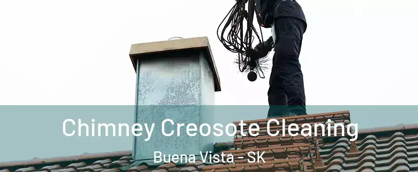  Chimney Creosote Cleaning Buena Vista - SK