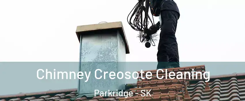  Chimney Creosote Cleaning Parkridge - SK