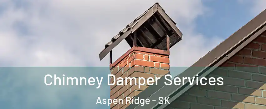  Chimney Damper Services Aspen Ridge - SK
