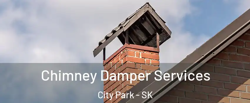  Chimney Damper Services City Park - SK