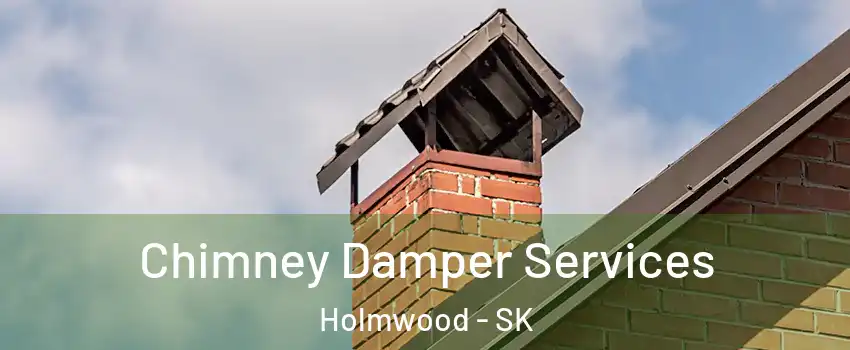  Chimney Damper Services Holmwood - SK