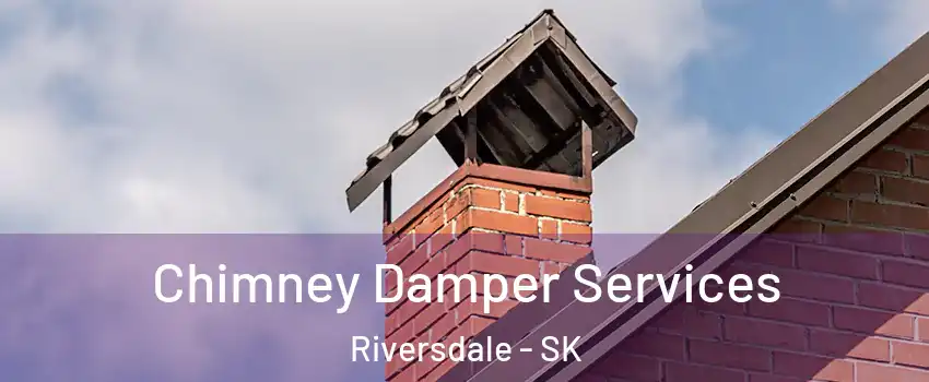  Chimney Damper Services Riversdale - SK