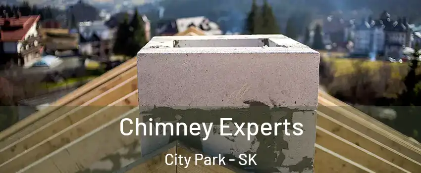 Chimney Experts City Park - SK