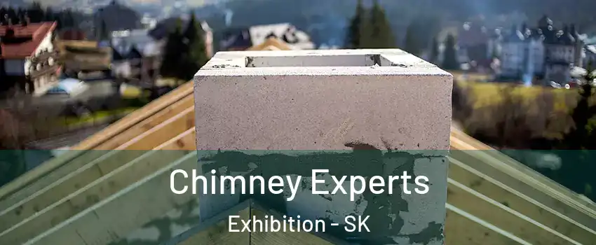 Chimney Experts Exhibition - SK