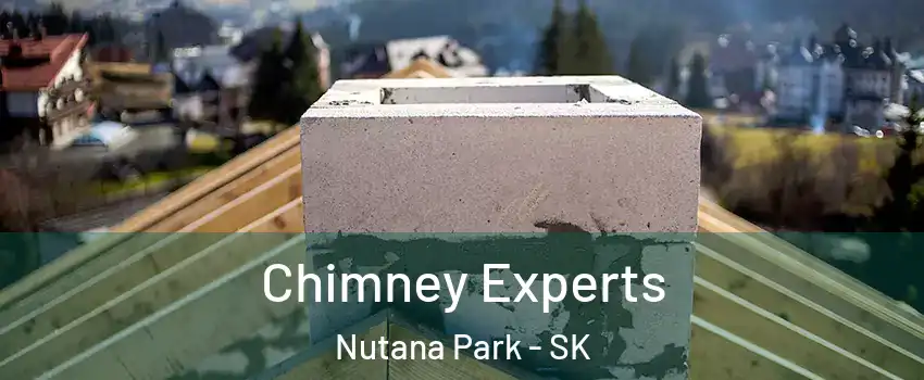 Chimney Experts Nutana Park - SK