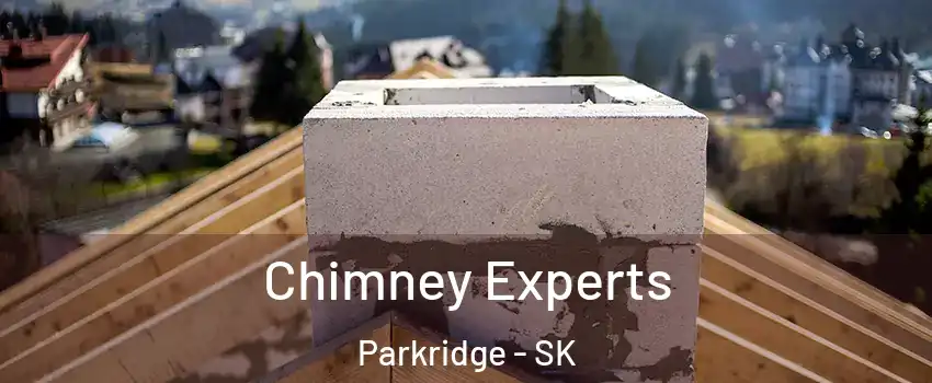 Chimney Experts Parkridge - SK