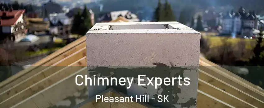 Chimney Experts Pleasant Hill - SK