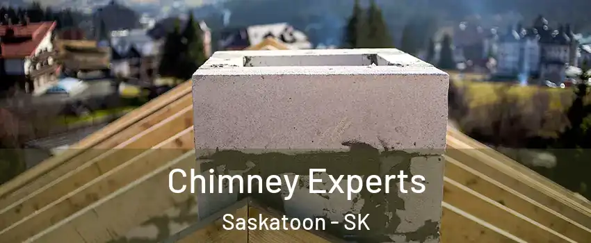 Chimney Experts Saskatoon - SK