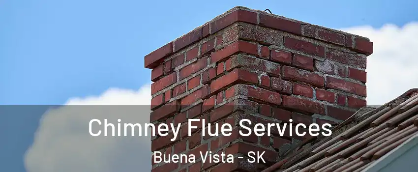  Chimney Flue Services Buena Vista - SK