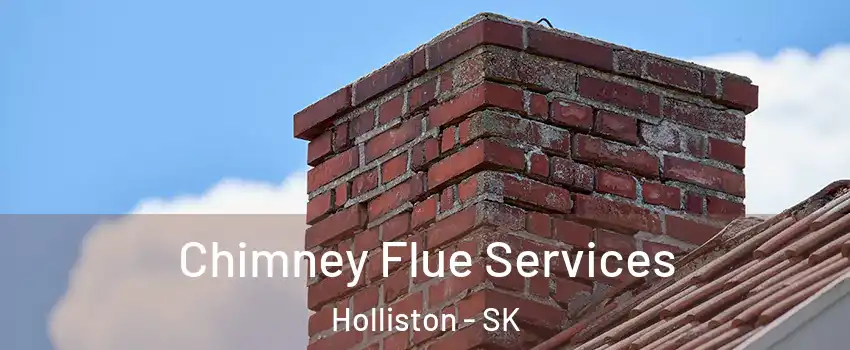  Chimney Flue Services Holliston - SK