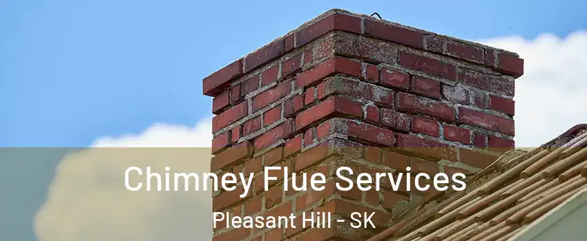  Chimney Flue Services Pleasant Hill - SK