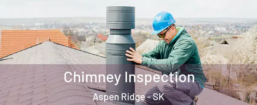  Chimney Inspection Aspen Ridge - SK