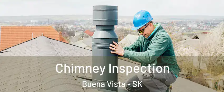  Chimney Inspection Buena Vista - SK