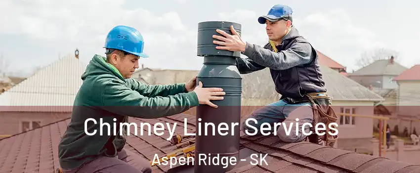  Chimney Liner Services Aspen Ridge - SK