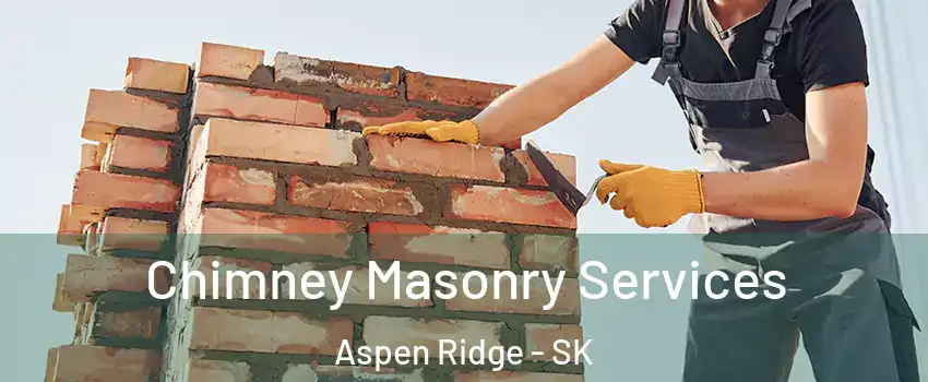  Chimney Masonry Services Aspen Ridge - SK