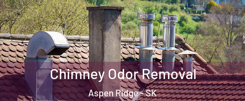  Chimney Odor Removal Aspen Ridge - SK