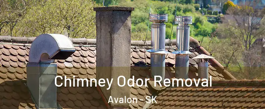  Chimney Odor Removal Avalon - SK