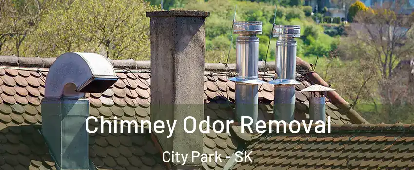  Chimney Odor Removal City Park - SK