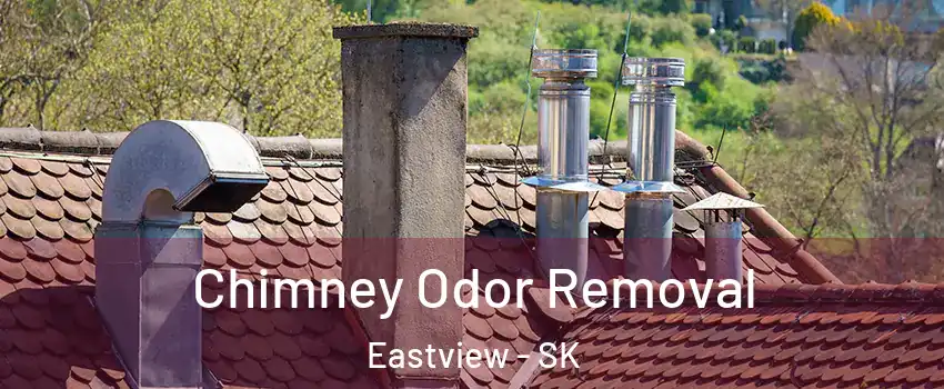 Chimney Odor Removal Eastview - SK