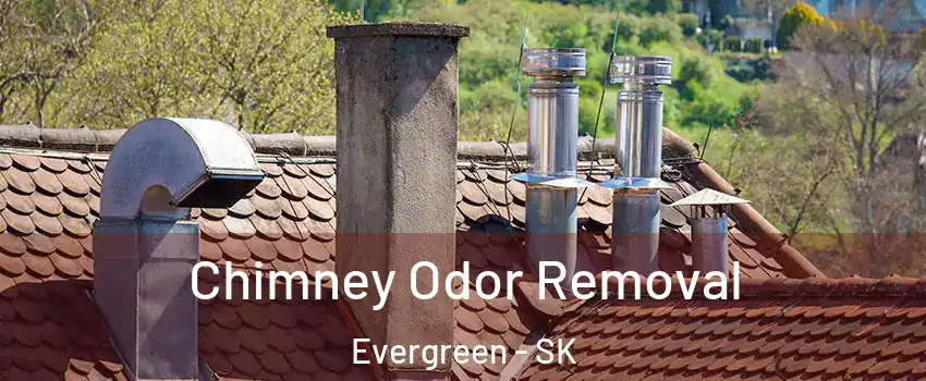  Chimney Odor Removal Evergreen - SK