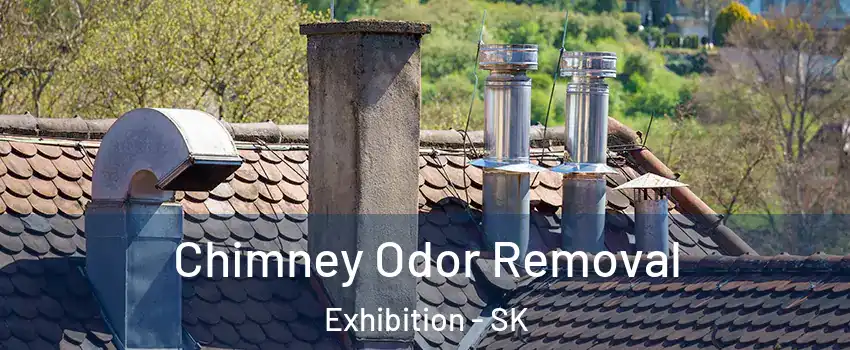  Chimney Odor Removal Exhibition - SK