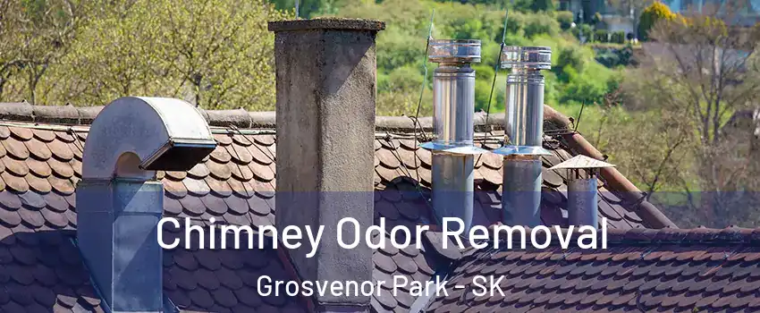  Chimney Odor Removal Grosvenor Park - SK