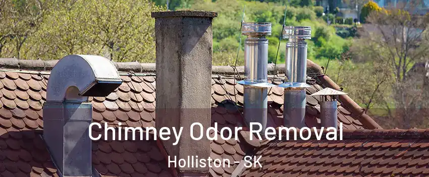  Chimney Odor Removal Holliston - SK