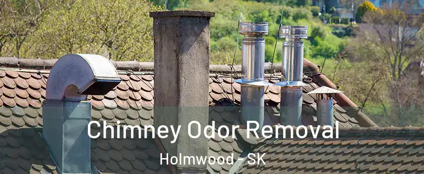  Chimney Odor Removal Holmwood - SK
