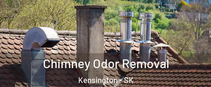  Chimney Odor Removal Kensington - SK