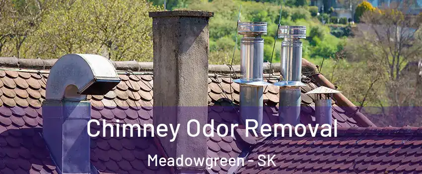  Chimney Odor Removal Meadowgreen - SK