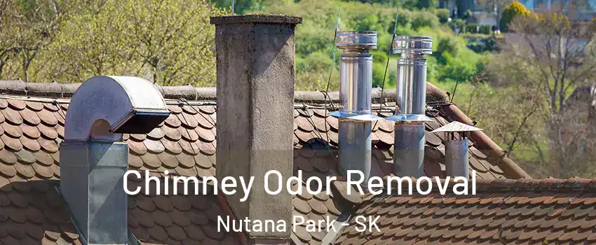  Chimney Odor Removal Nutana Park - SK