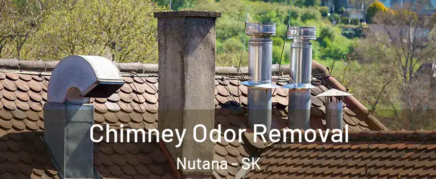  Chimney Odor Removal Nutana - SK