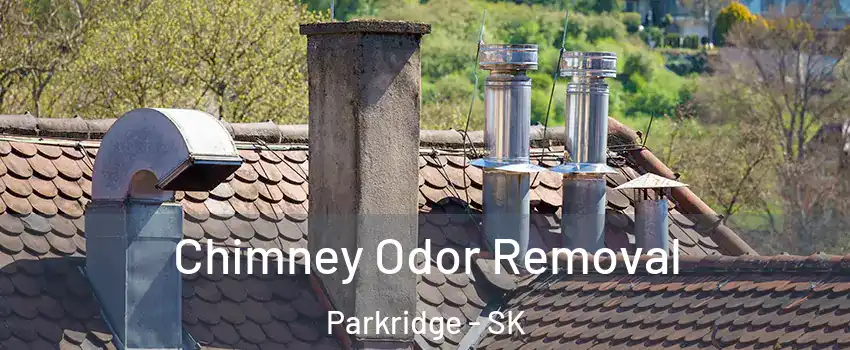  Chimney Odor Removal Parkridge - SK