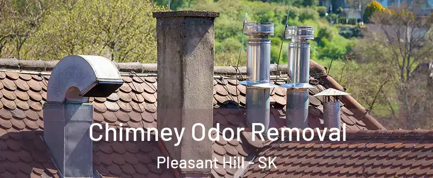  Chimney Odor Removal Pleasant Hill - SK