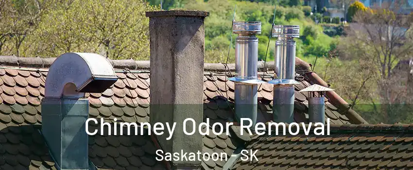  Chimney Odor Removal Saskatoon - SK
