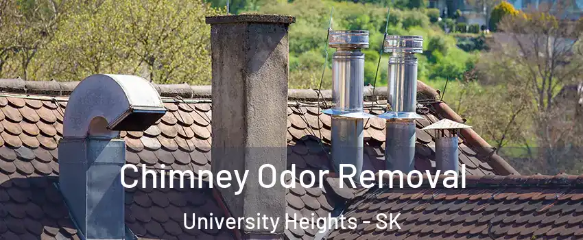  Chimney Odor Removal University Heights - SK