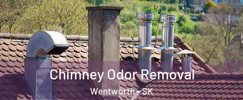 Chimney Odor Removal Wentworth - SK