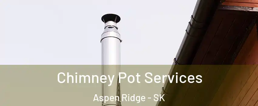  Chimney Pot Services Aspen Ridge - SK